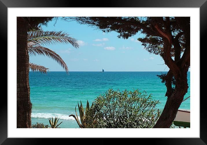 Cala Nova, Ibiza Framed Mounted Print by Tom Gomez
