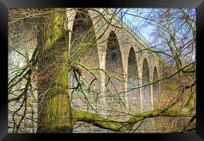 Camps Viaduct Framed Print by Tom Gomez