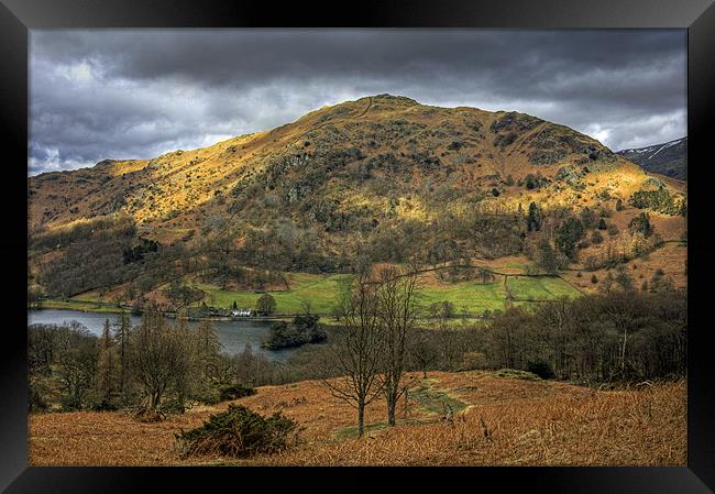 Rydal Water and Nab Scar Framed Print by Tom Gomez