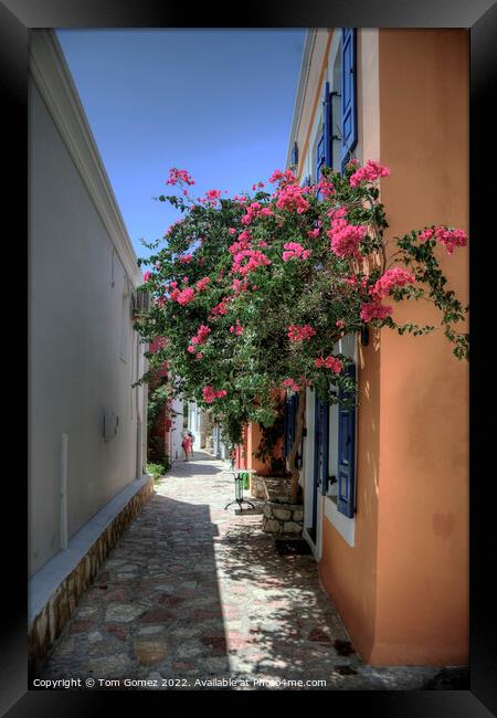 Flowers in a Halki Lane Framed Print by Tom Gomez