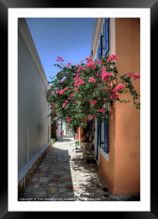 Flowers in a Halki Lane Framed Mounted Print by Tom Gomez