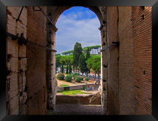 View from the Colosseum Framed Print by Tom Gomez