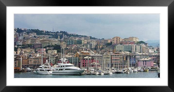 Genoa skyline Framed Mounted Print by Tom Gomez