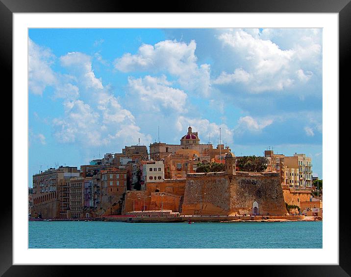 Grand Harbour Framed Mounted Print by Tom Gomez