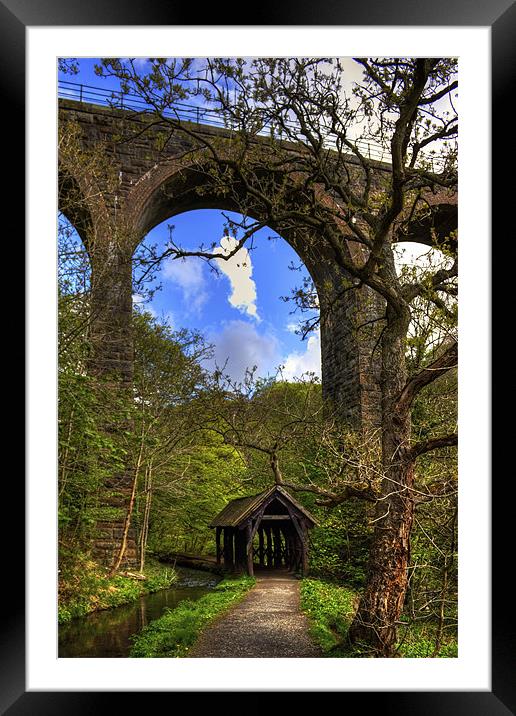 Under the Viaduct Framed Mounted Print by Tom Gomez