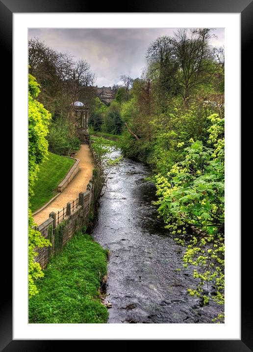 Water of Leith Walkway Framed Mounted Print by Tom Gomez