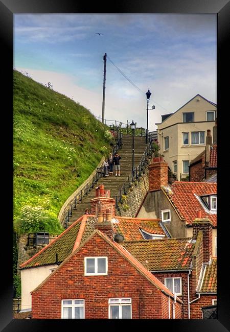 Middle of the Whitby Steps Framed Print by Tom Gomez