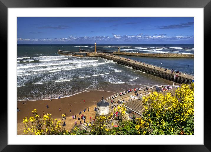 West Cliff Beach Framed Mounted Print by Tom Gomez