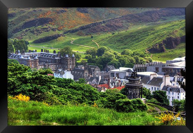 Holyrood from Calton Hill Framed Print by Tom Gomez