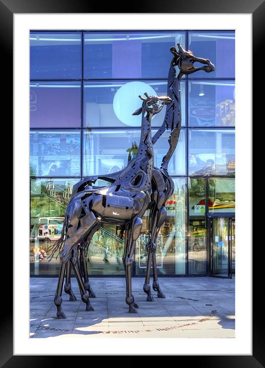 Omni Centre Blues Framed Mounted Print by Tom Gomez