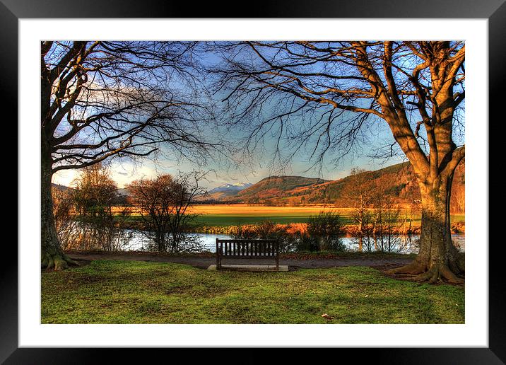 Sit here and enjoy the view Framed Mounted Print by Tom Gomez