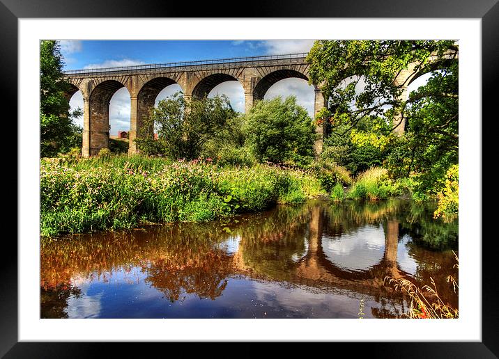 Avon Viaduct Reflections Framed Mounted Print by Tom Gomez