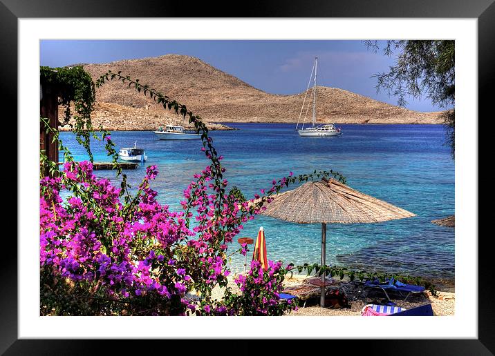 Bougainvillea at Ftenagia Framed Mounted Print by Tom Gomez
