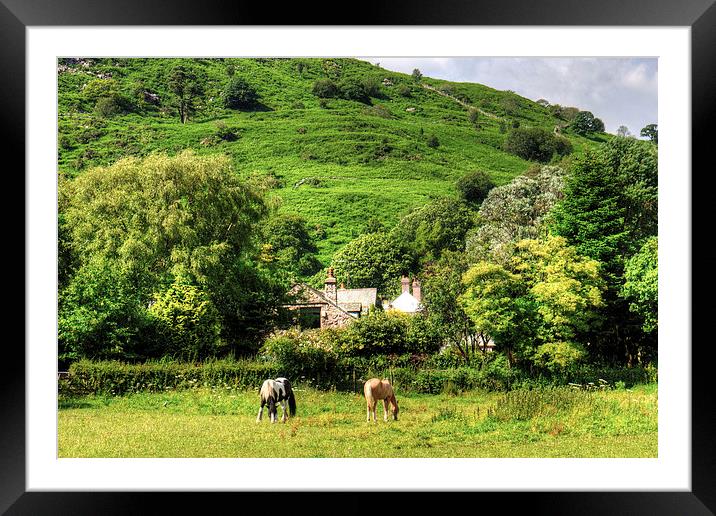 Horses in Eskdale Framed Mounted Print by Tom Gomez