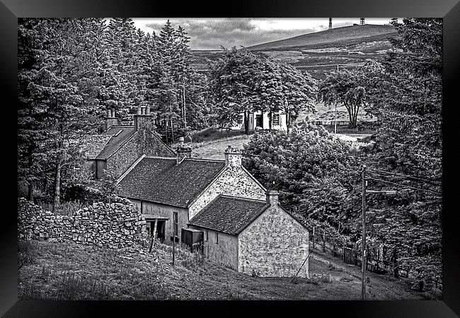 Cottages in the Trees - B&W Framed Print by Tom Gomez