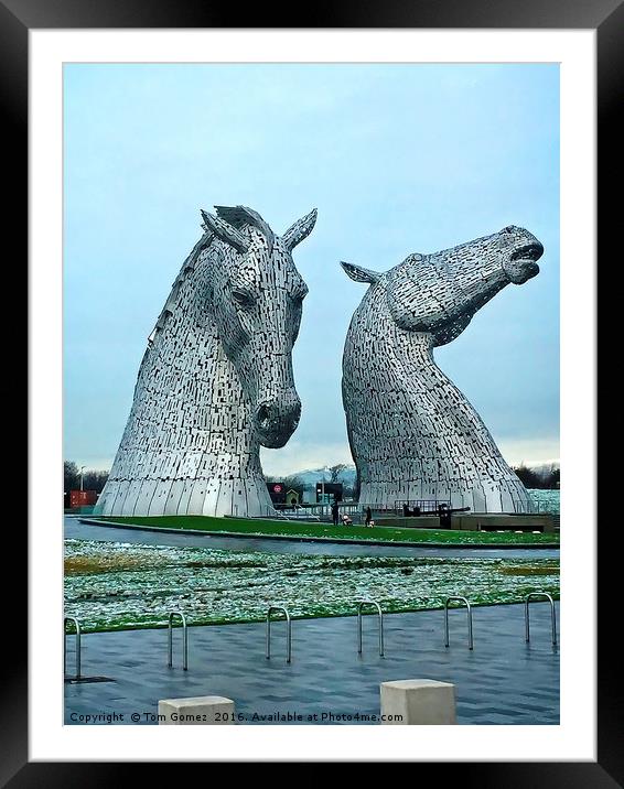 The Kelpies in January Framed Mounted Print by Tom Gomez