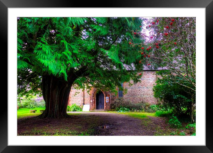 Church in the Trees Framed Mounted Print by Tom Gomez