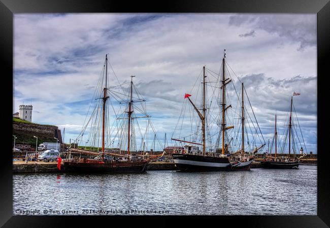 Tall Ships at Anchor Framed Print by Tom Gomez