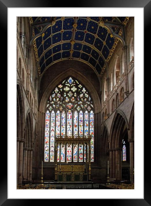 Carlisle Cathedral Choir Framed Mounted Print by Tom Gomez