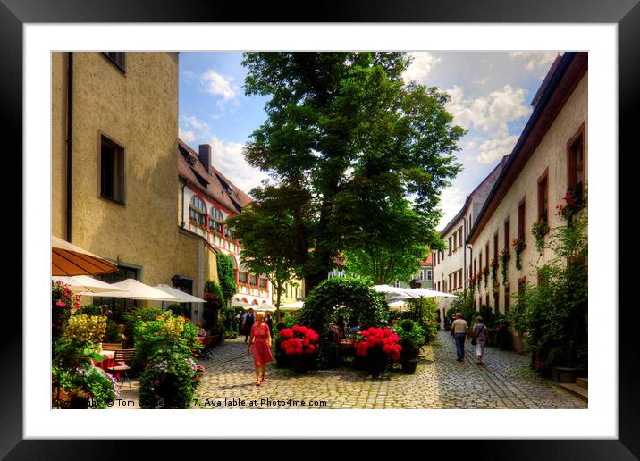 Regensburg Courtyard Framed Mounted Print by Tom Gomez