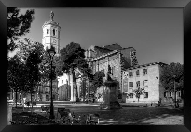 Cathedral of Valladolid - B&W Framed Print by Tom Gomez