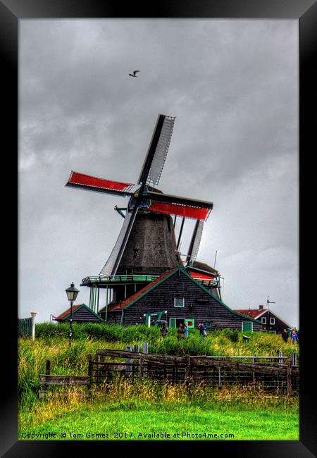 Dutch Windmill Framed Print by Tom Gomez