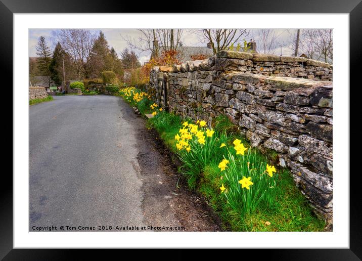 Daffodils in Orton Village Framed Mounted Print by Tom Gomez