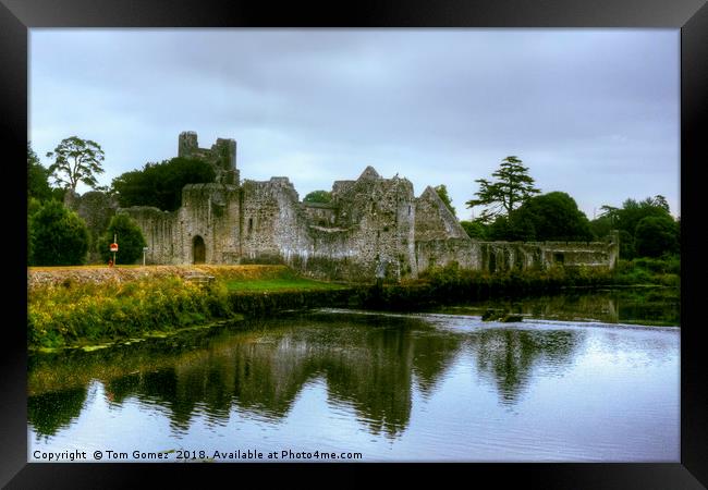 Desmond Castle Framed Print by Tom Gomez