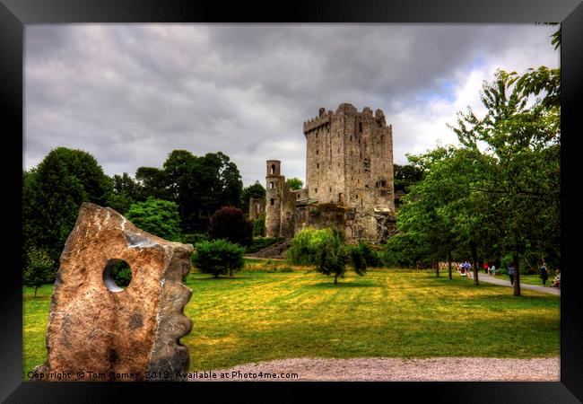 Blarney Castle and Grounds Framed Print by Tom Gomez