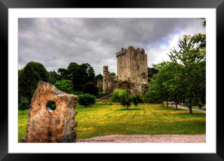 Blarney Castle and Grounds Framed Mounted Print by Tom Gomez