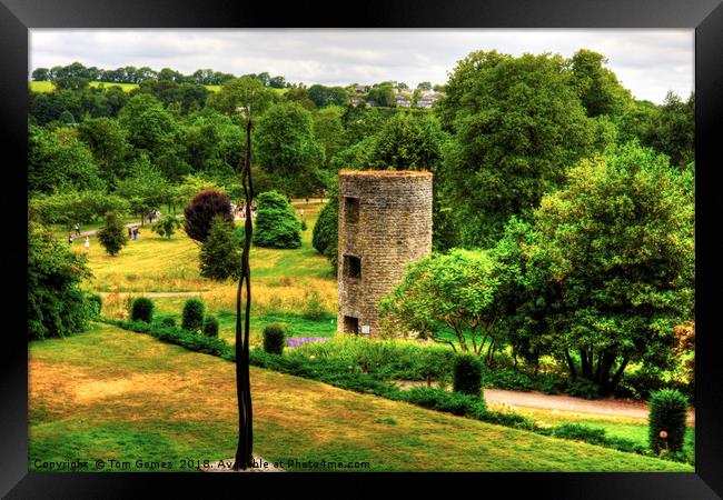 Blarney Castle Lookout Tower Framed Print by Tom Gomez