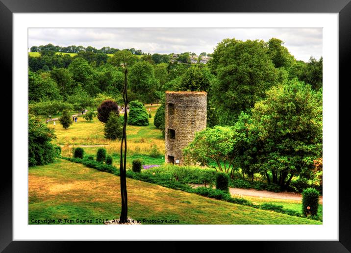 Blarney Castle Lookout Tower Framed Mounted Print by Tom Gomez