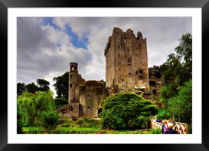 The way to Blarney Castle Framed Mounted Print by Tom Gomez