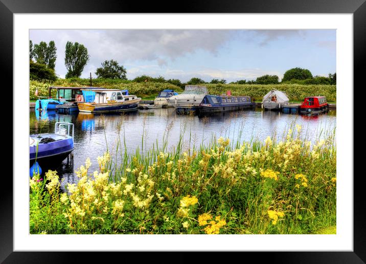 Canal Boats in Helix Park Framed Mounted Print by Tom Gomez