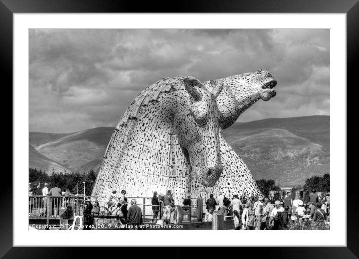 Come see the Kelpies - B&W Framed Mounted Print by Tom Gomez