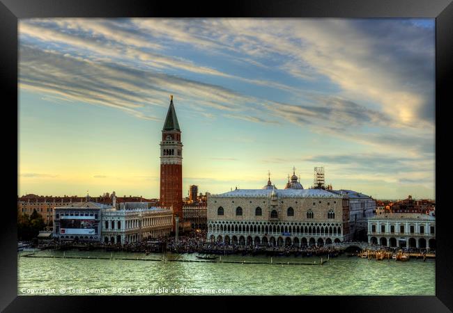 The Piazza in Venice Framed Print by Tom Gomez