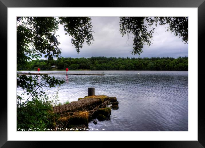 Lower Lough Erne Framed Mounted Print by Tom Gomez