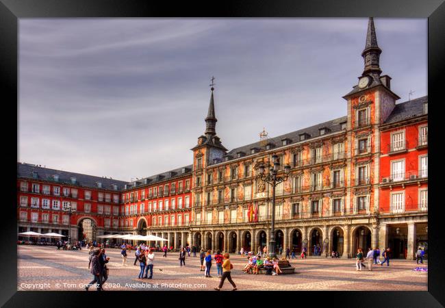 Major Square, Madrid Framed Print by Tom Gomez
