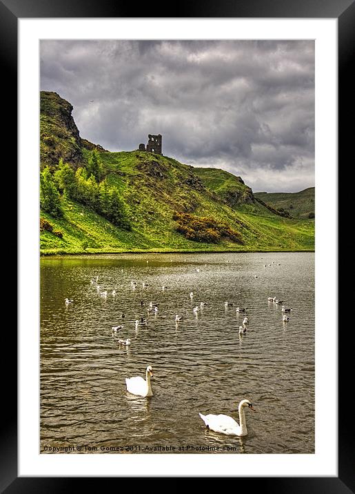 St Margaret's Loch Framed Mounted Print by Tom Gomez