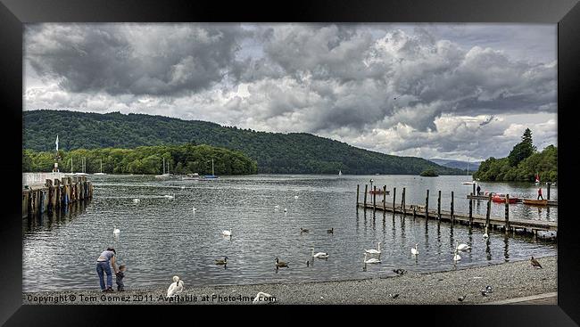 View over Windermere Framed Print by Tom Gomez