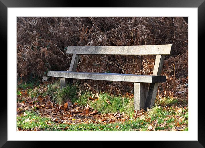 Lonely Bench Framed Mounted Print by Lise Baker
