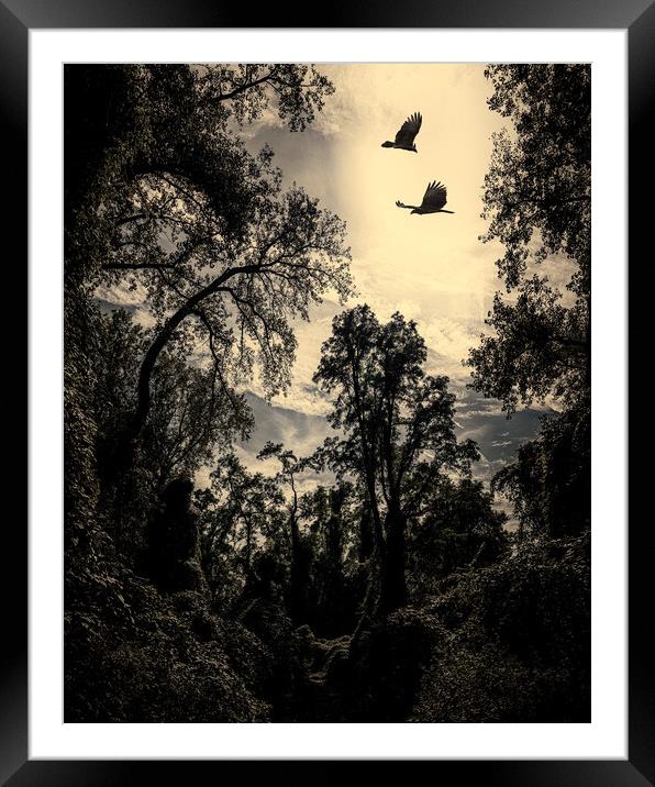 Primeval Forest Framed Mounted Print by Chris Lord