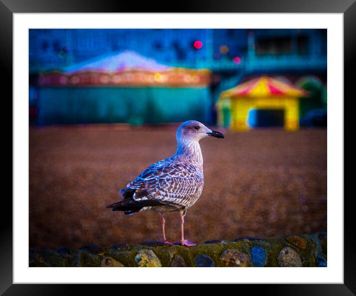 Brighton Seagull Framed Mounted Print by Chris Lord