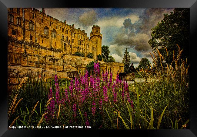 On the Banks of the River Avon Framed Print by Chris Lord