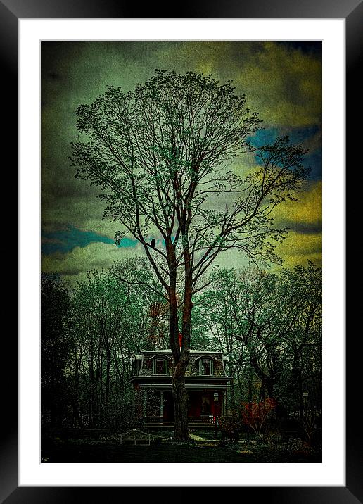 The Victorian In The Woods Framed Mounted Print by Chris Lord