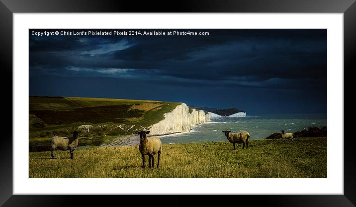  Four Sheep and Seven Sisters Framed Mounted Print by Chris Lord