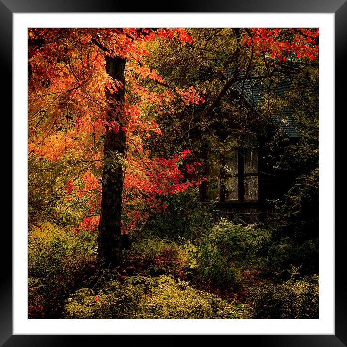 Autumn Fire Framed Mounted Print by Chris Lord