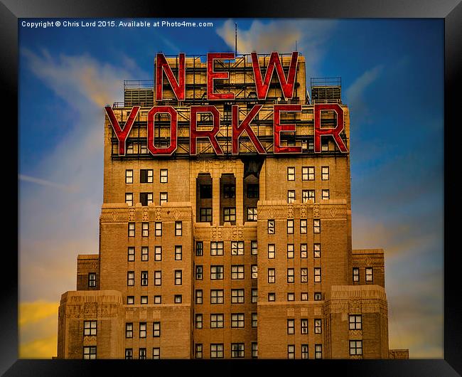 The New Yorker Framed Print by Chris Lord