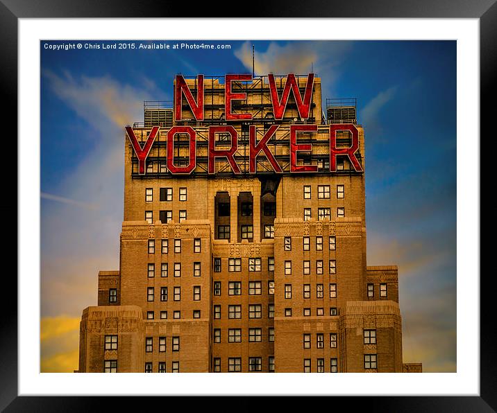 The New Yorker Framed Mounted Print by Chris Lord