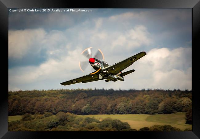 Shark Nosed P-51 Mustang at Goodwood Framed Print by Chris Lord
